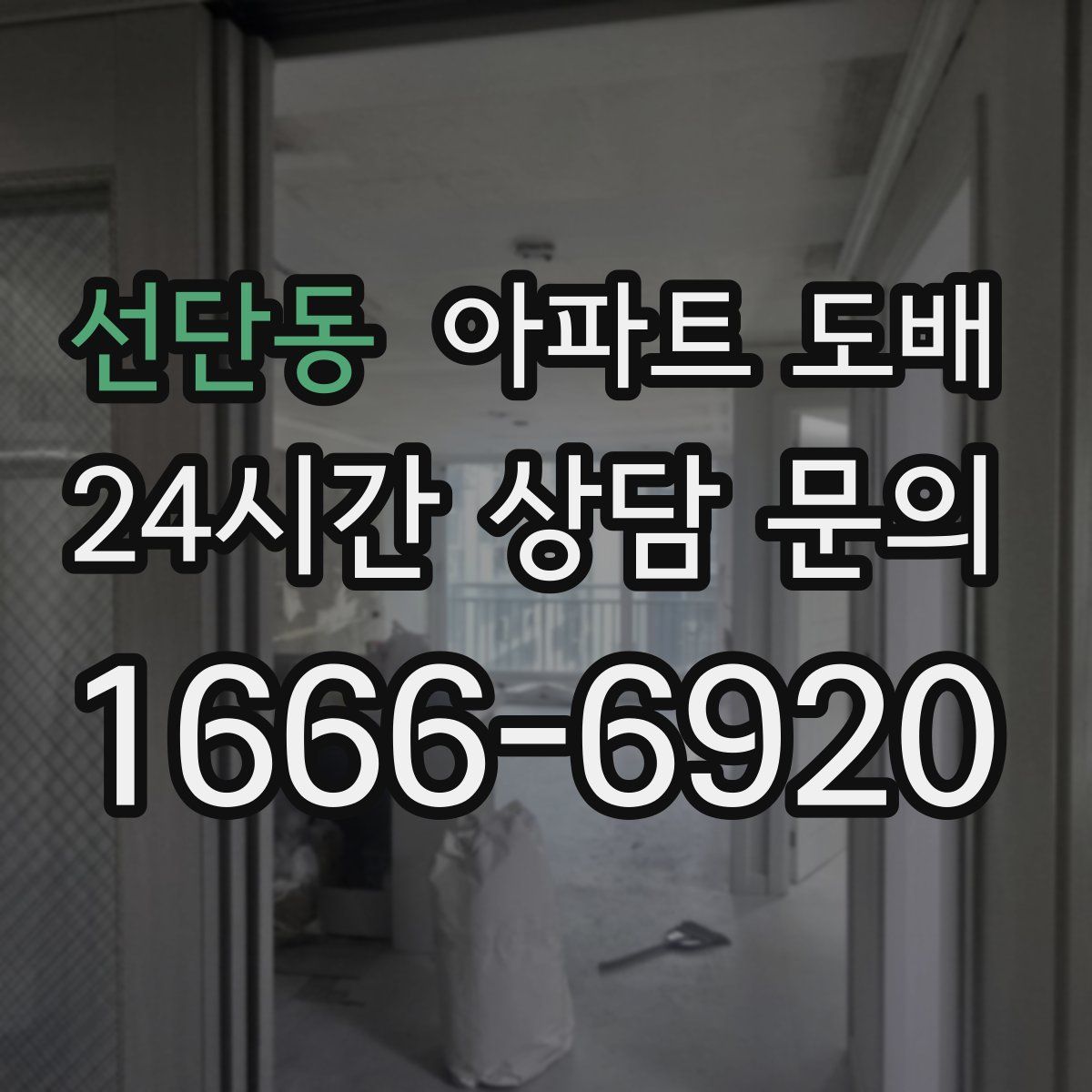 선단동 아파트 도배