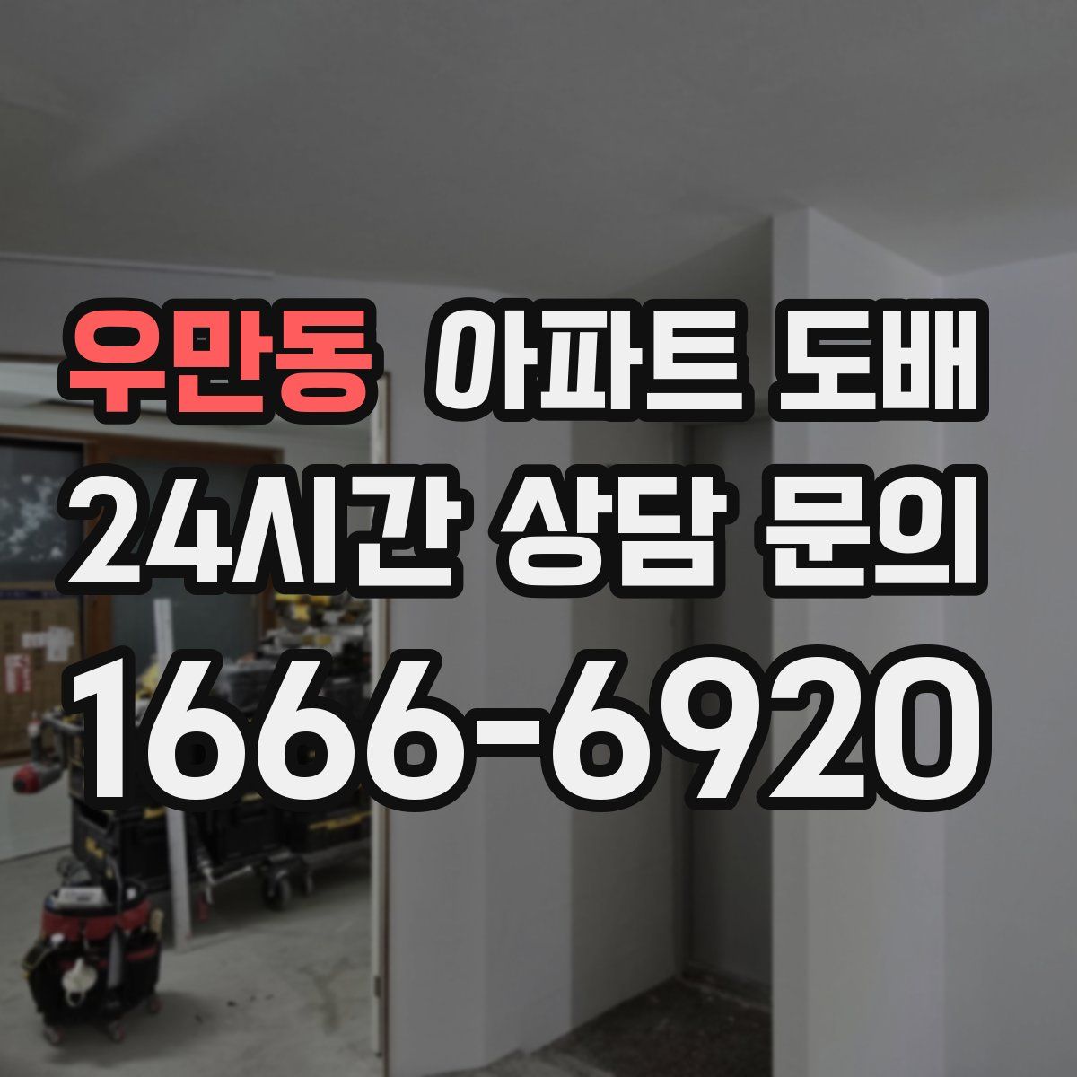 우만동 아파트 도배
