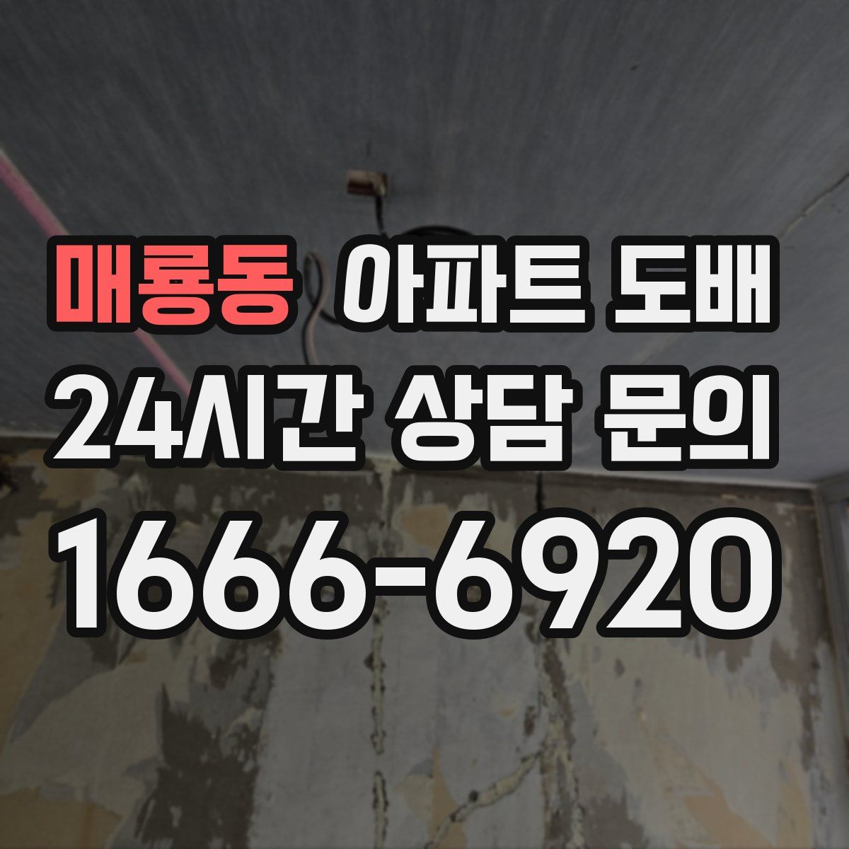 매룡동 아파트 도배
