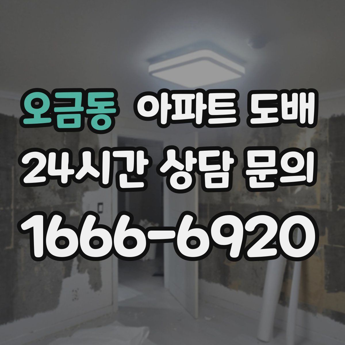 오금동 아파트 도배