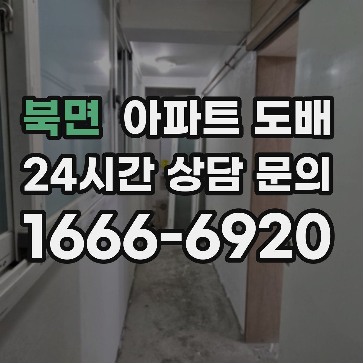북면 아파트 도배