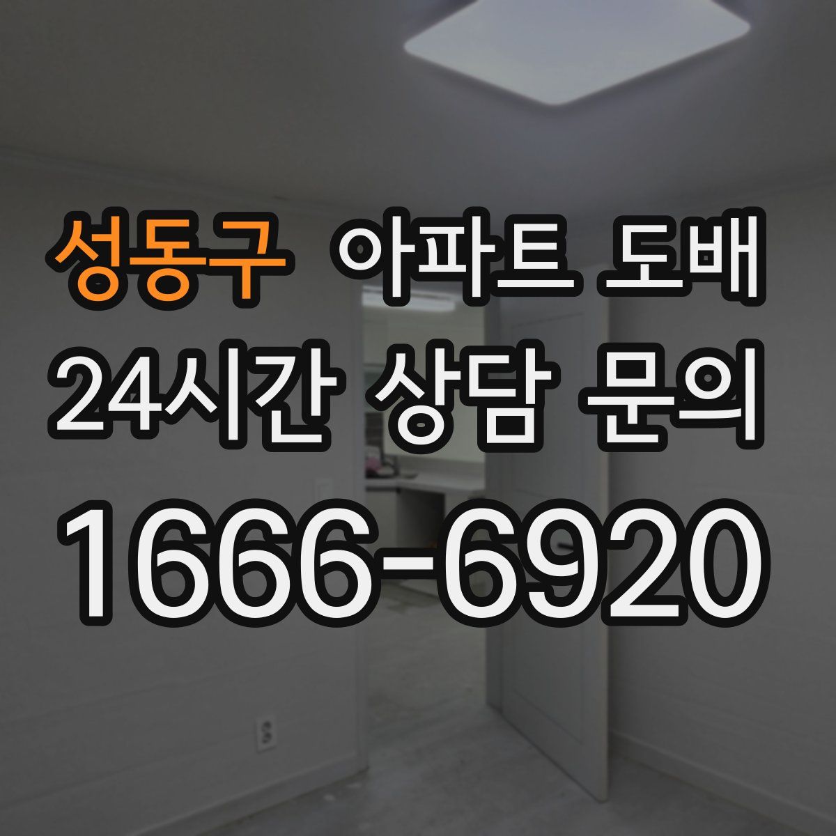 성동구 아파트 도배