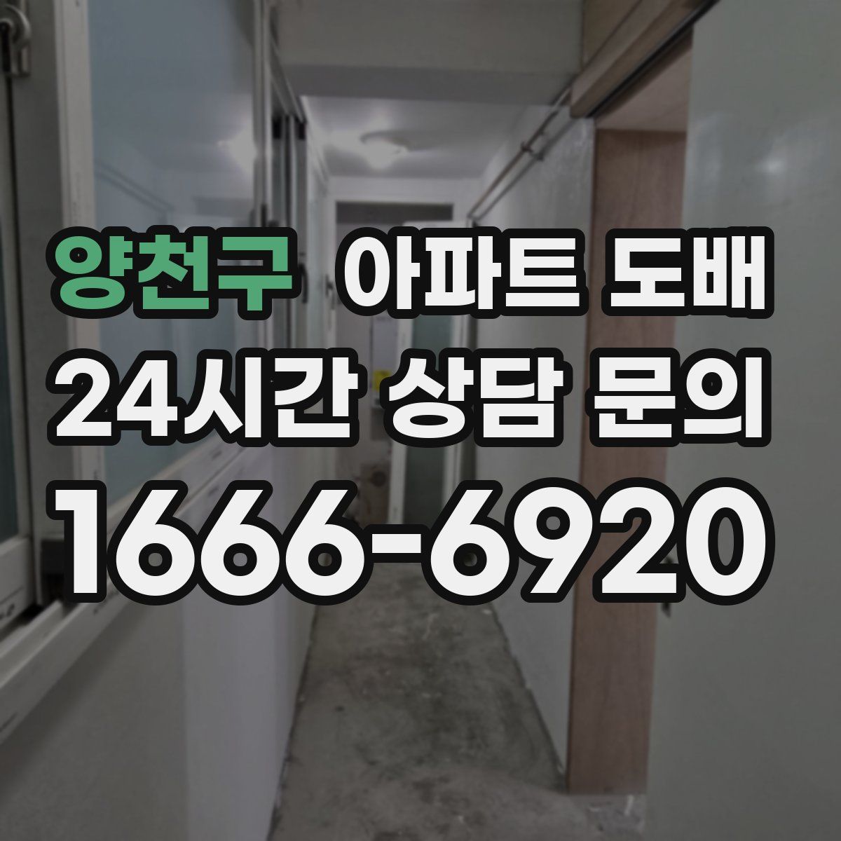 양천구 아파트 도배
