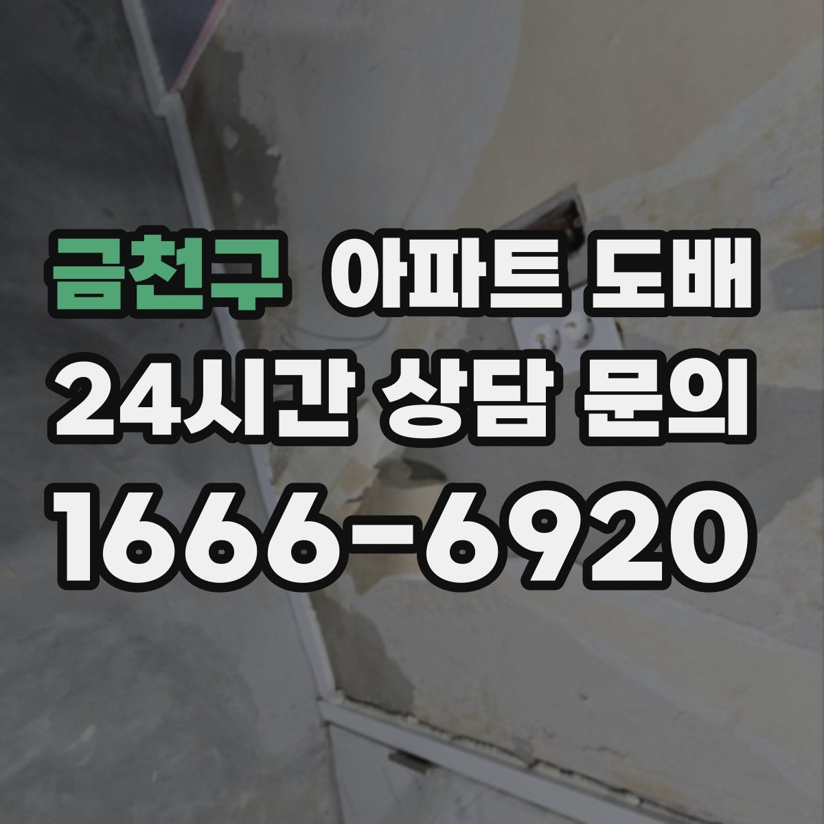 금천구 아파트 도배