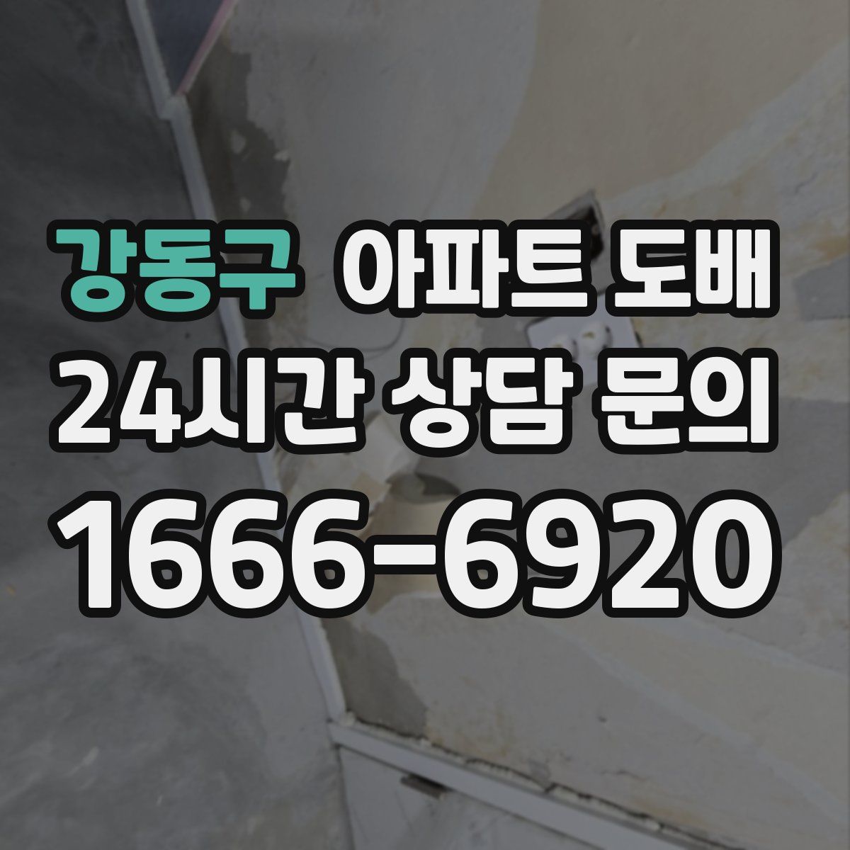 강동구 아파트 도배