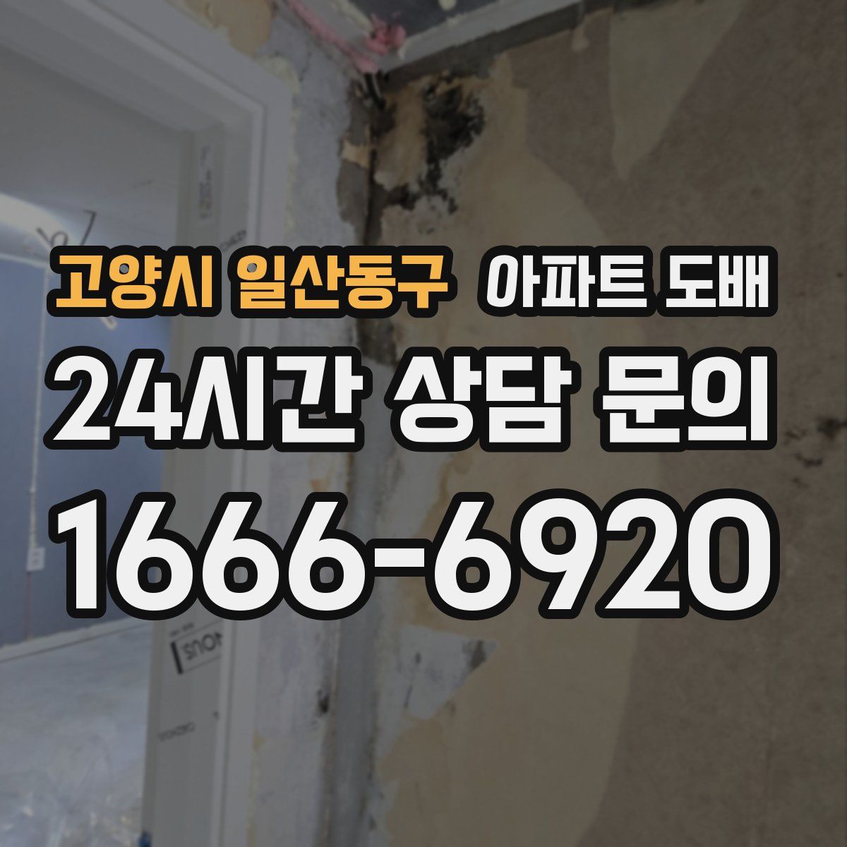 고양시 일산동구 아파트 도배