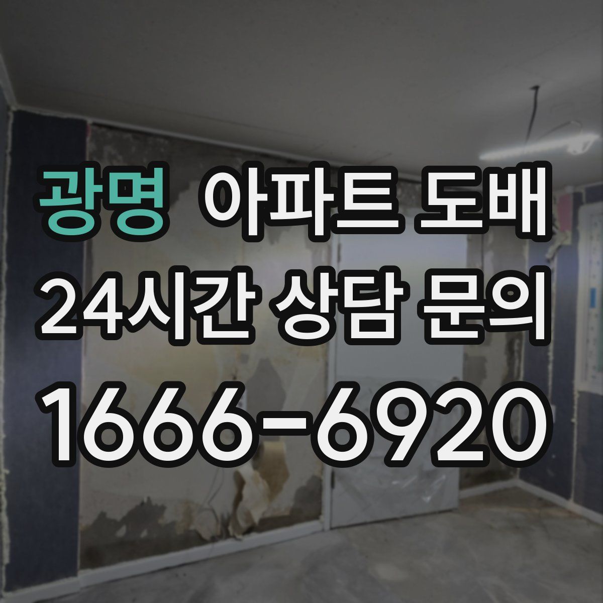 광명 아파트 도배
