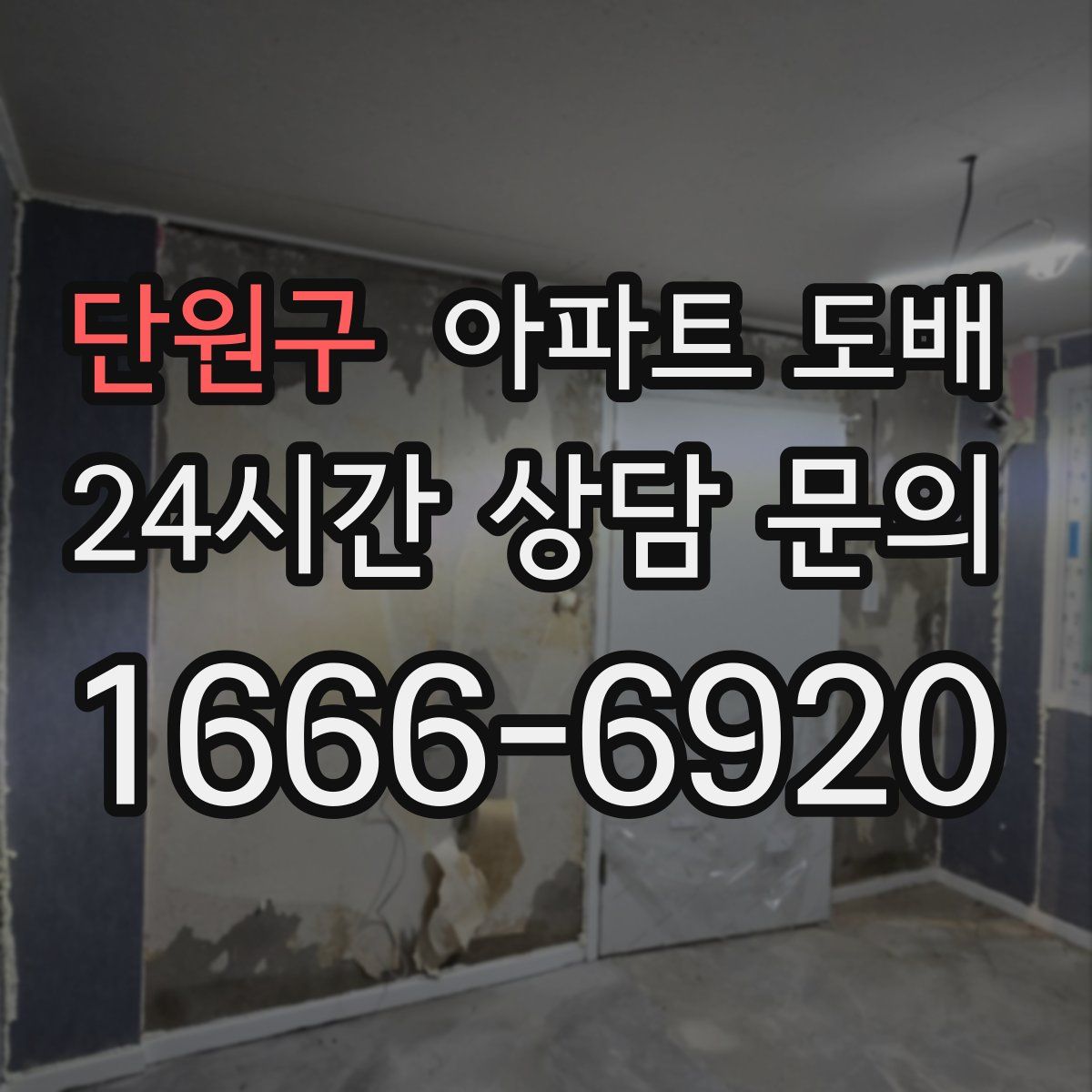단원구 아파트 도배