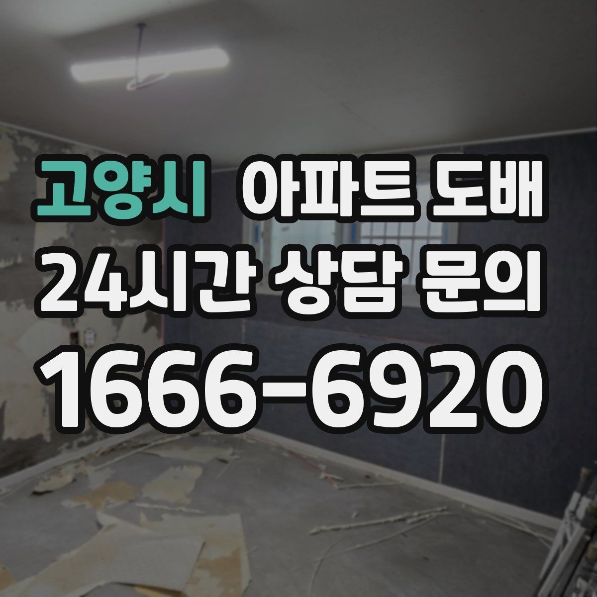 고양시 아파트 도배