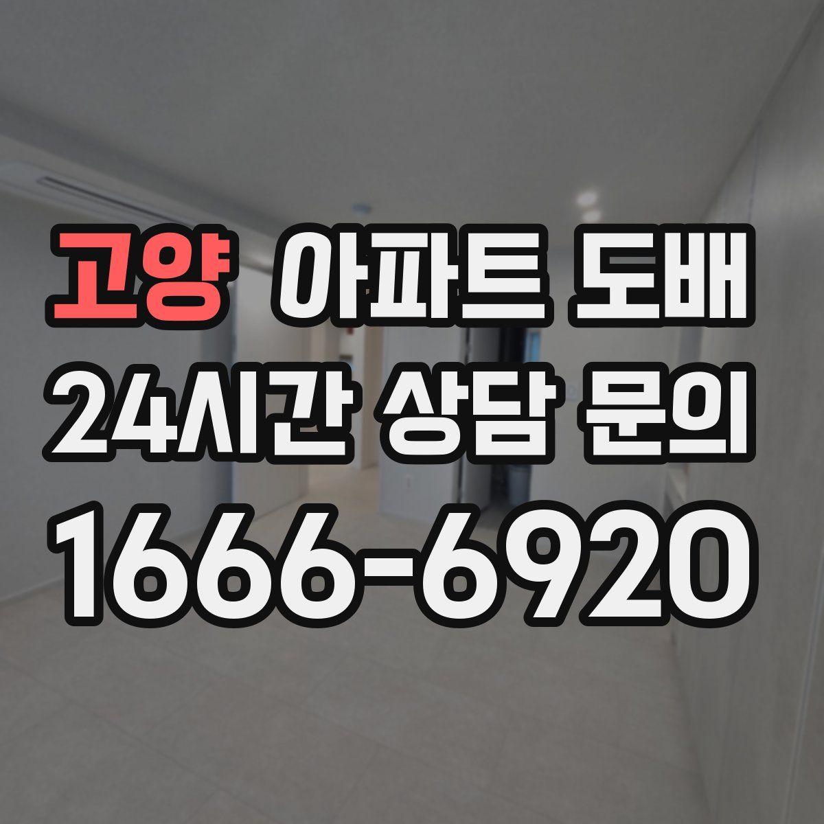 고양 아파트 도배