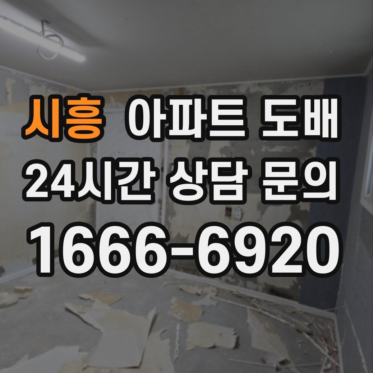 시흥 아파트 도배 셀프와 전문가 시공의 차이