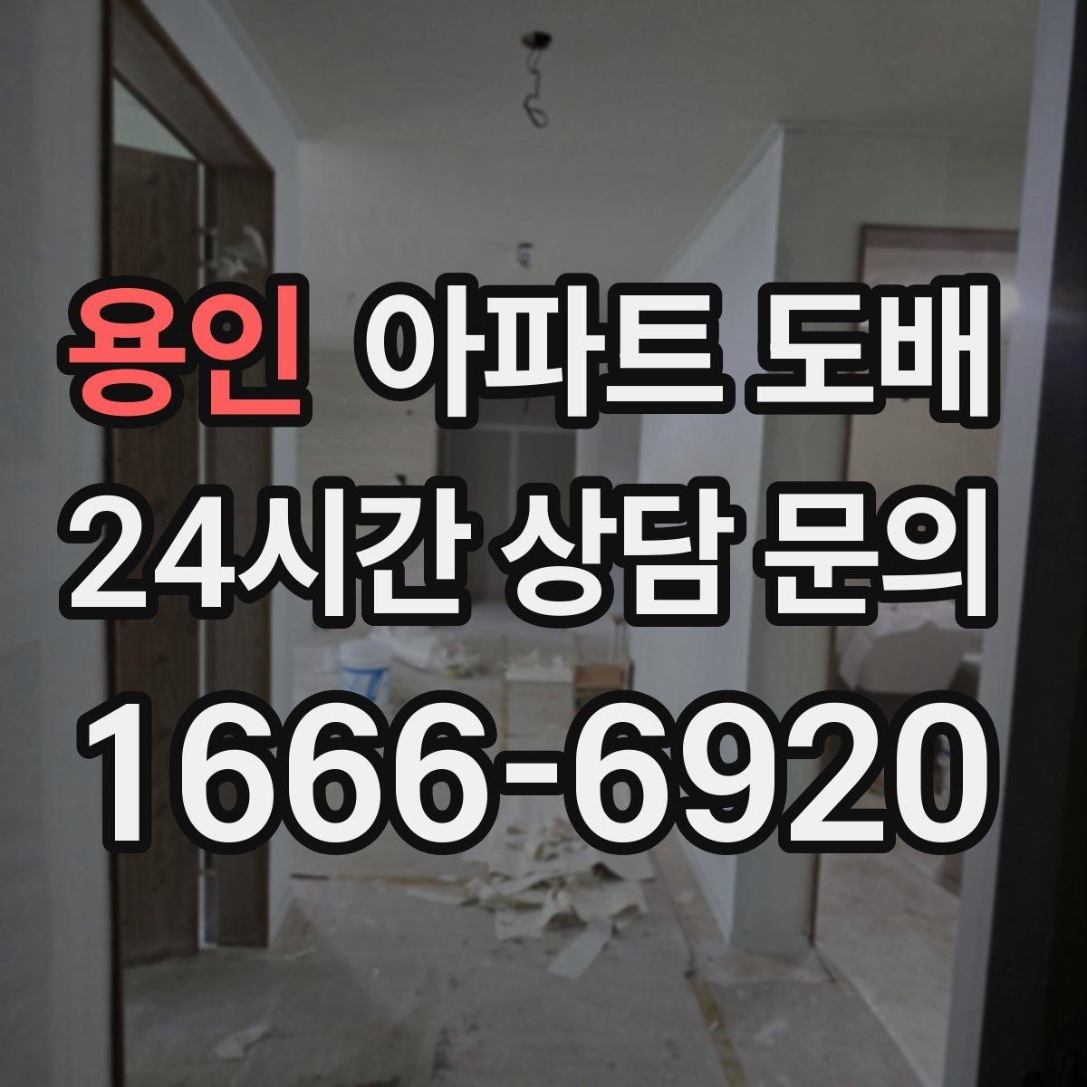 용인 아파트 도배 반려동물과 함께 사는 집의 선택