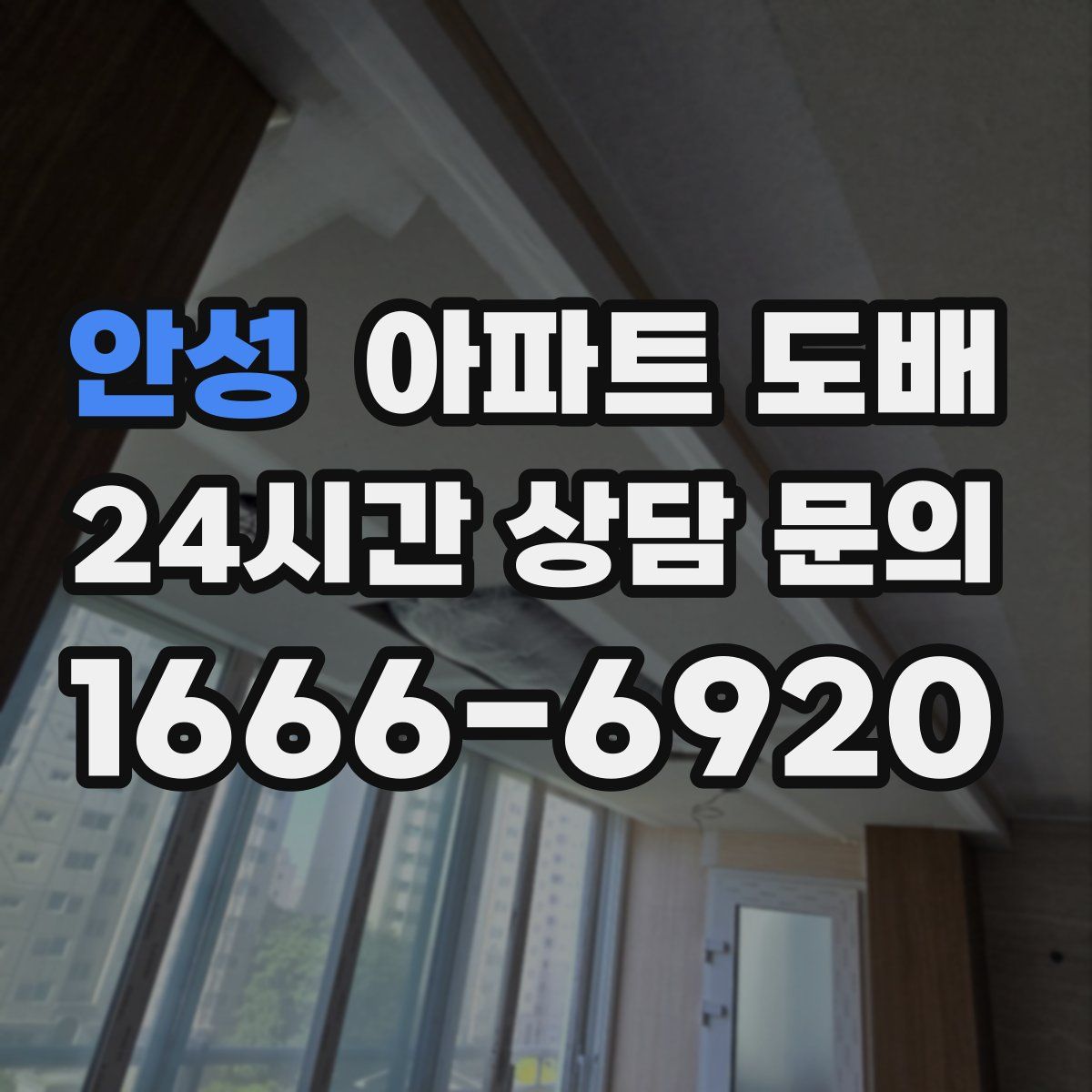 안성 아파트 도배