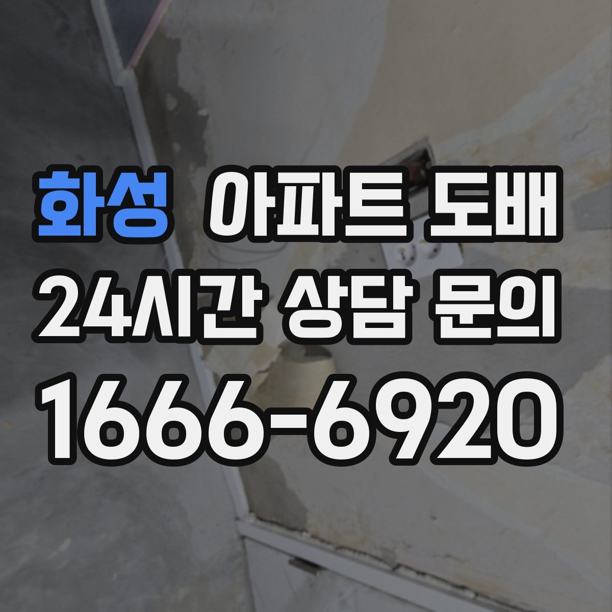 화성 아파트 도배