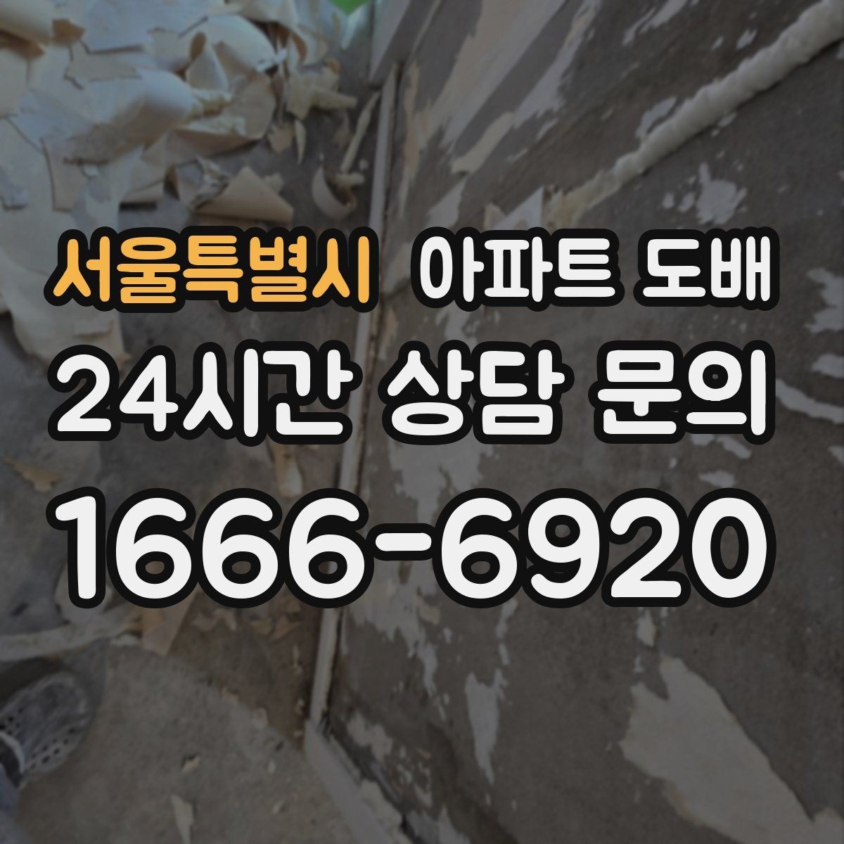 서울특별시 아파트 도배 실패를 줄이는 선택 기준
