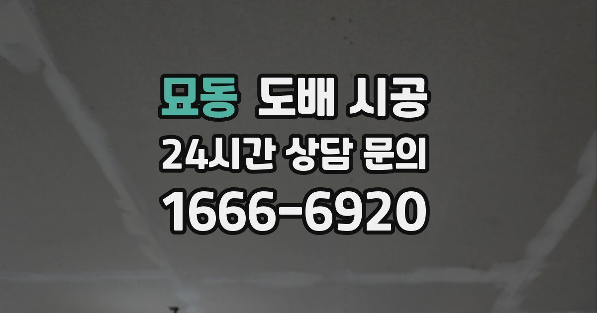 묘동 도배 시공