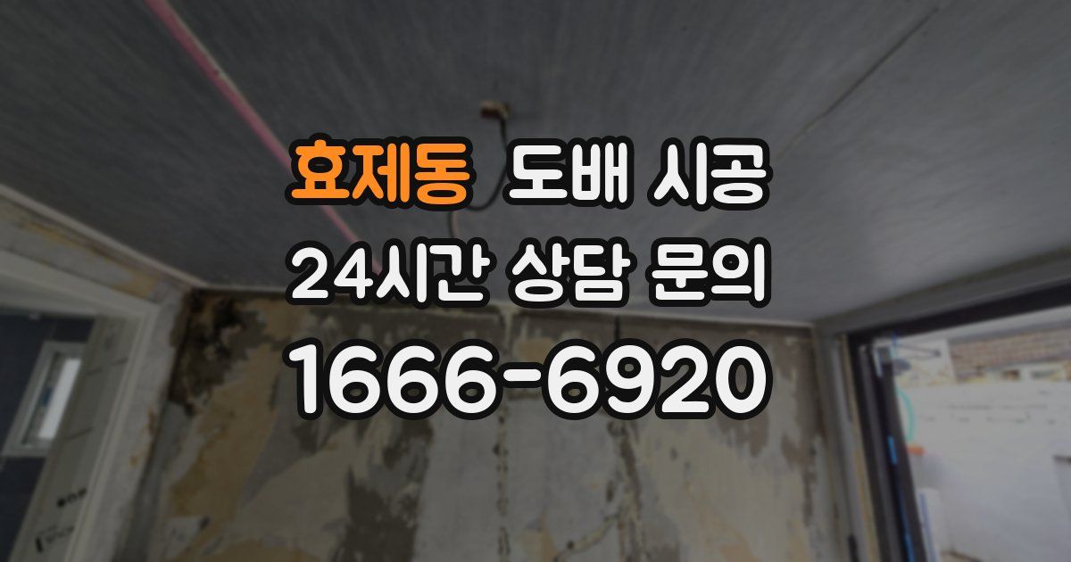 효제동 도배 시공