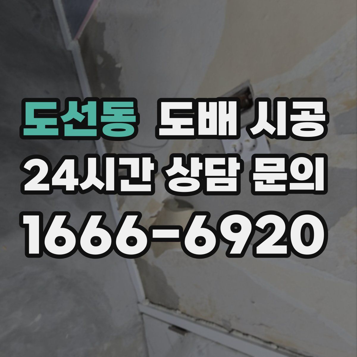 도선동 도배 시공