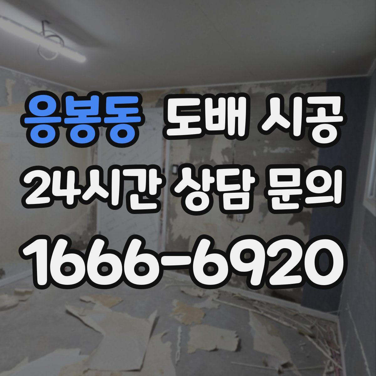 응봉동 도배 시공