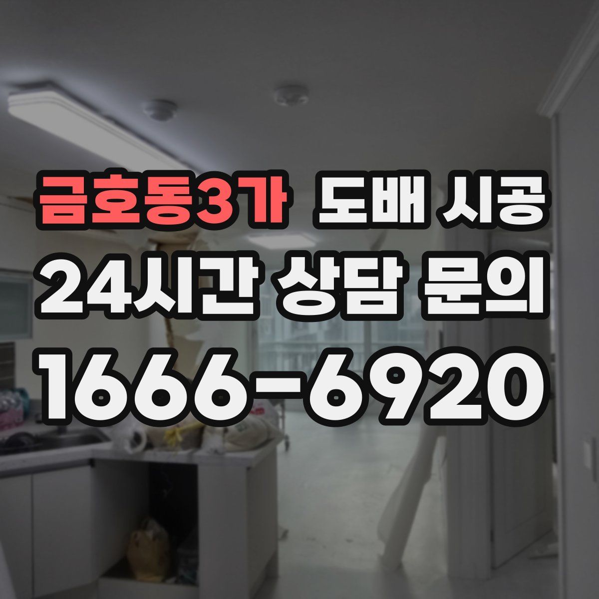 금호동3가 도배 시공