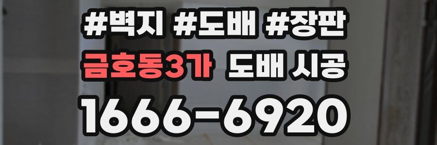 금호동3가 도배 시공