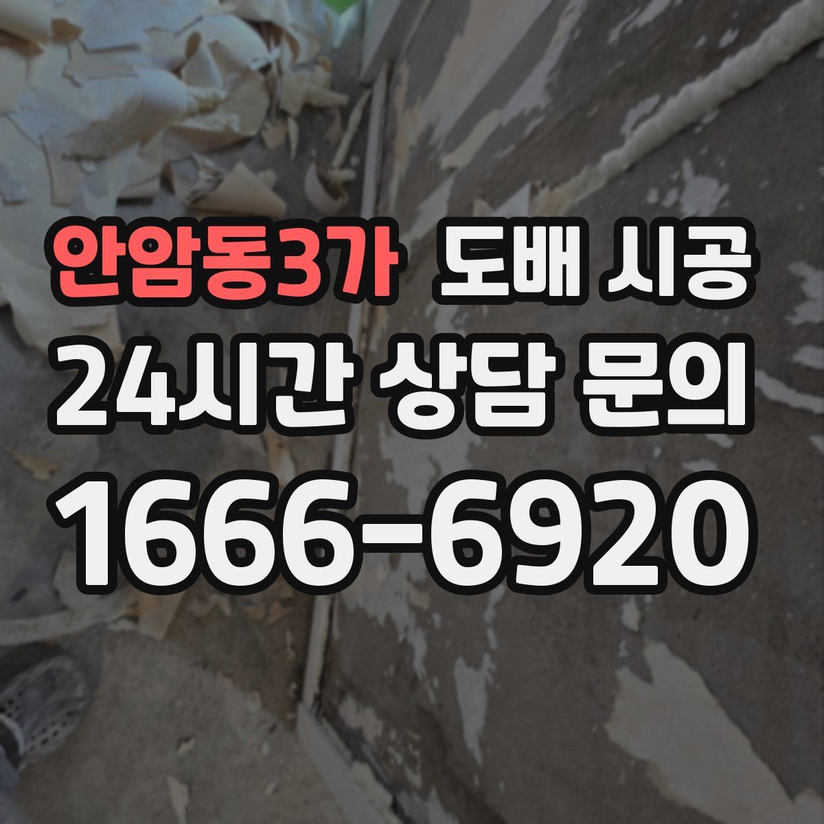 안암동3가 도배 시공