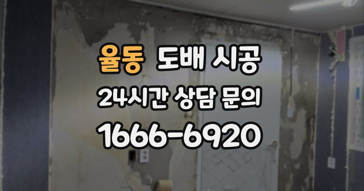 율동 도배 시공
