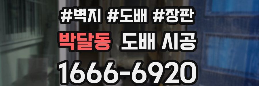 박달동 도배 시공