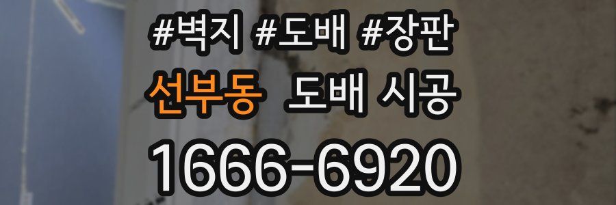 선부동 도배 시공