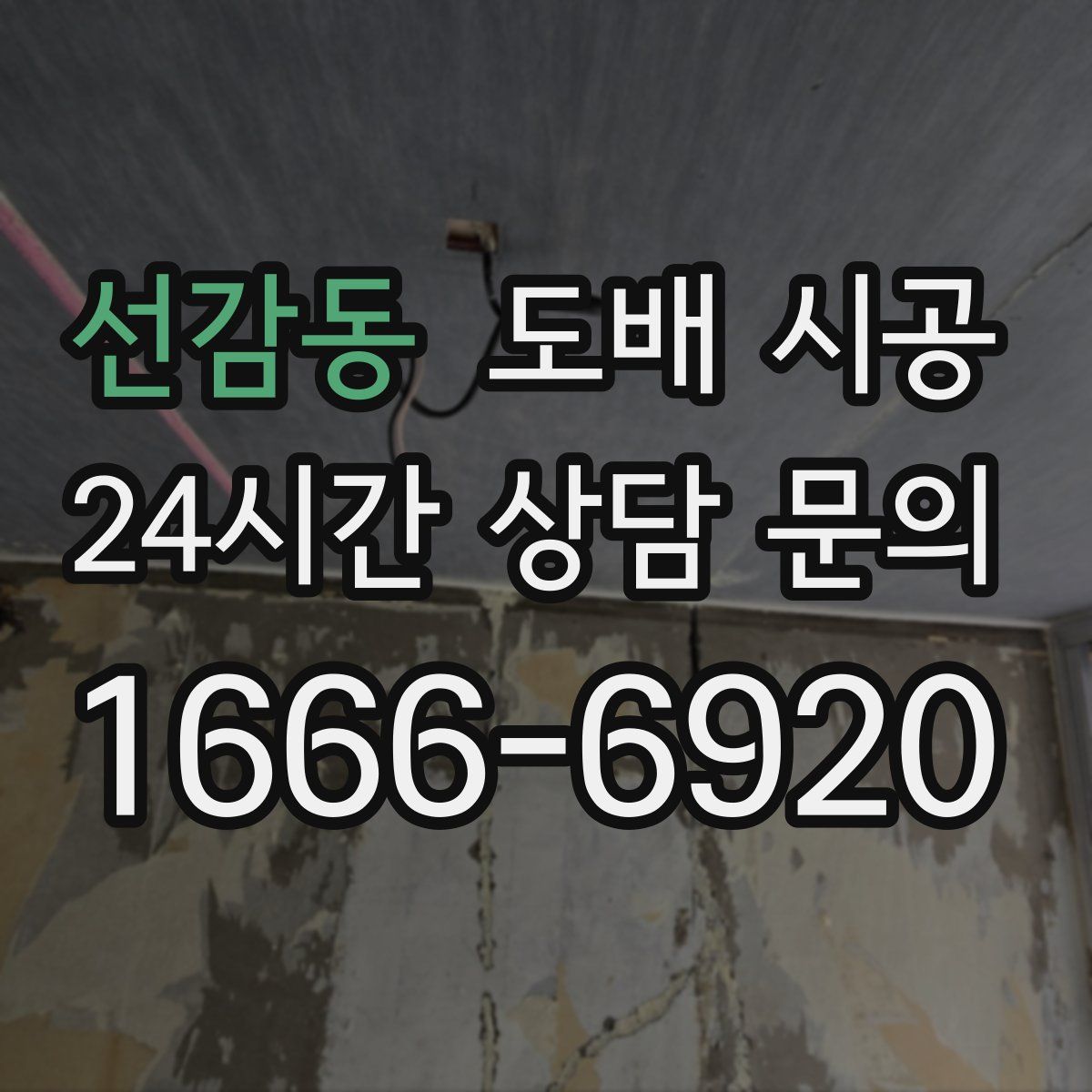 선감동 도배 시공