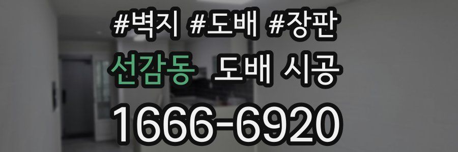 선감동 도배 시공