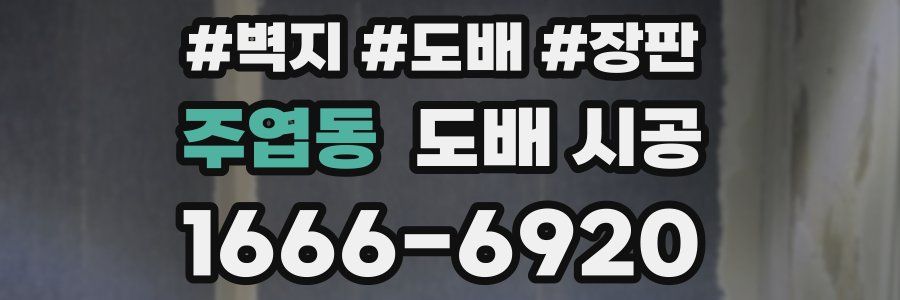 주엽동 도배 시공