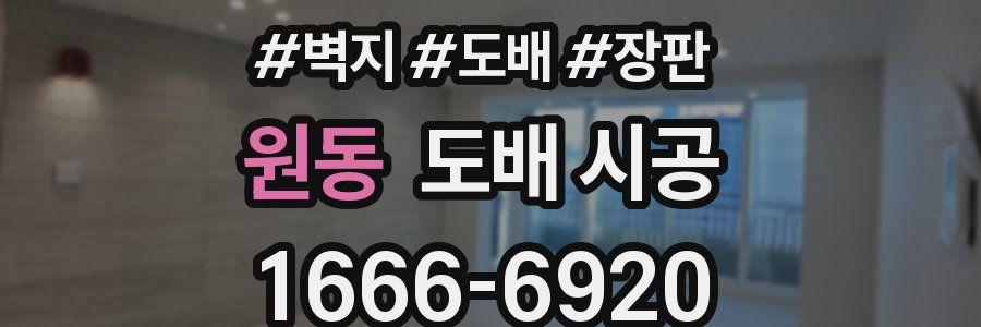 원동 도배 시공