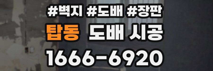 탑동 도배 시공