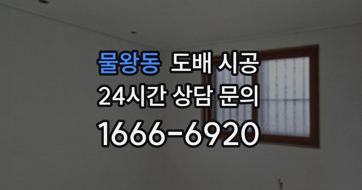 물왕동 도배 시공