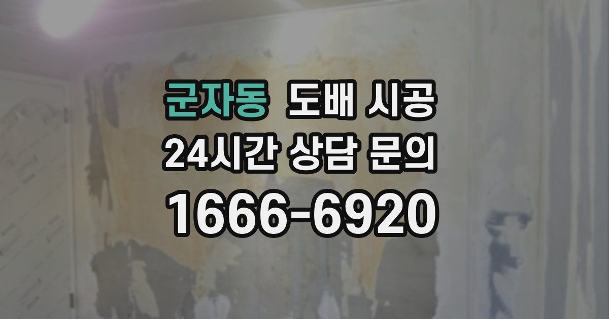 군자동 도배 시공