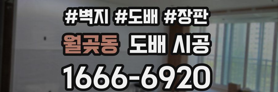 월곶동 도배 시공
