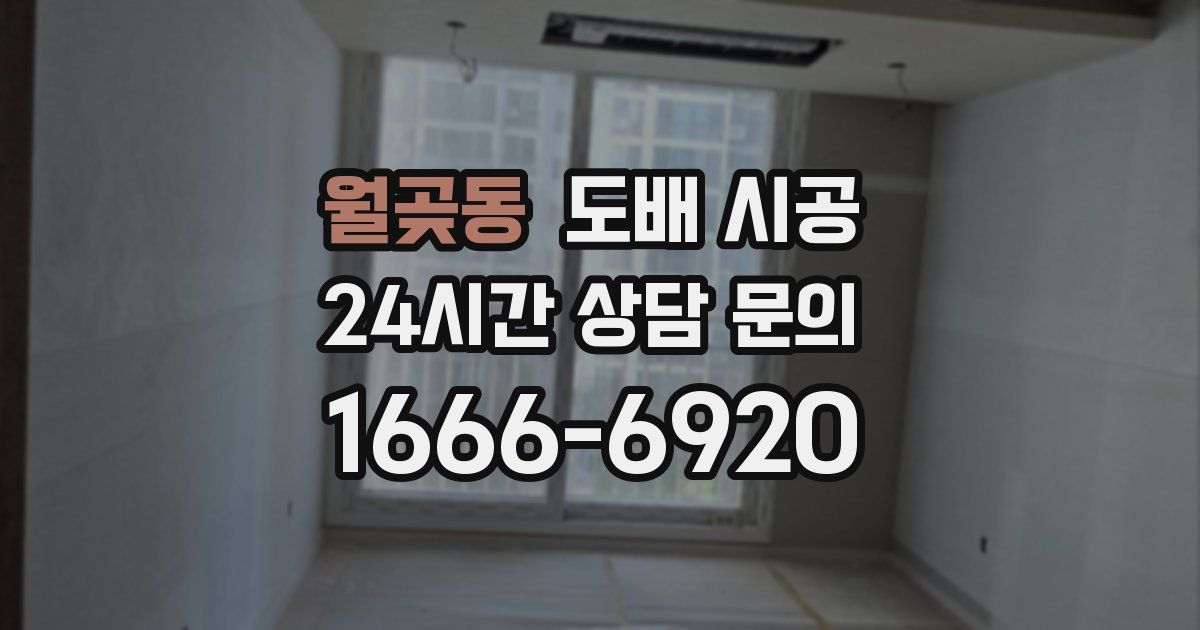 월곶동 도배 시공