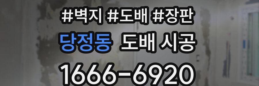 당정동 도배 시공