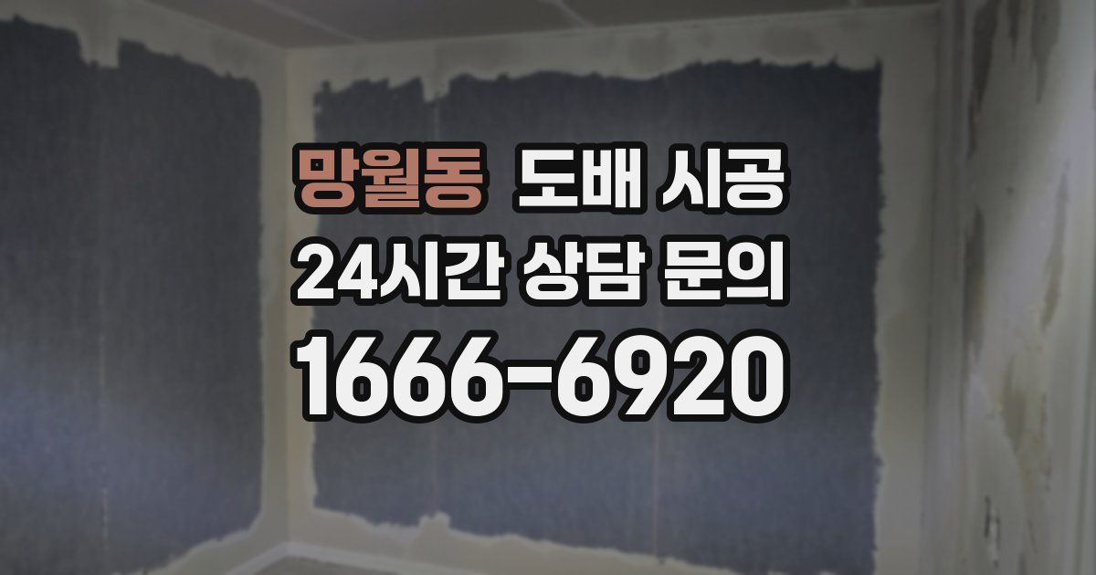 망월동 도배 시공