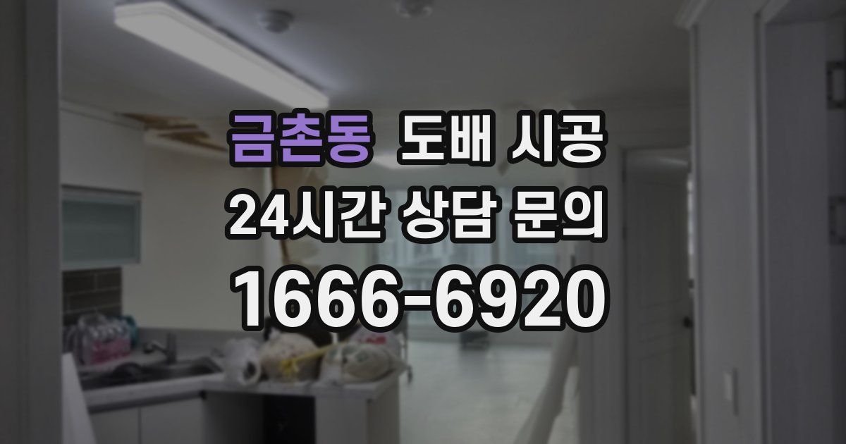 금촌동 도배 시공