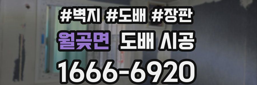월곶면 도배 시공