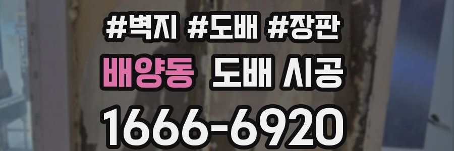 배양동 도배 시공