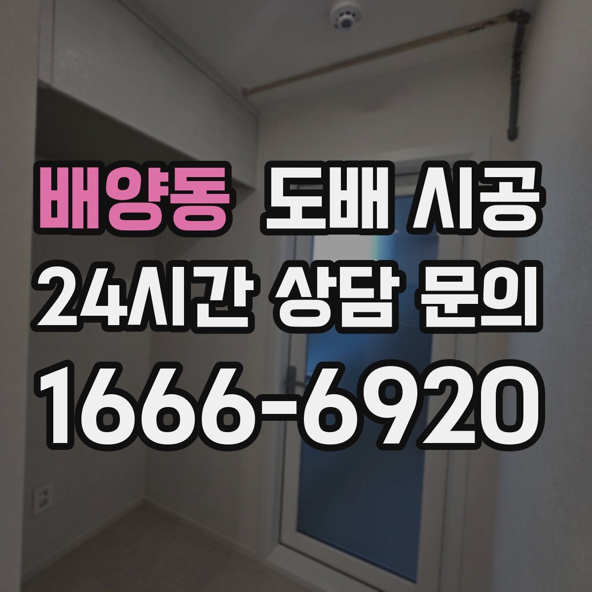 배양동 도배 시공