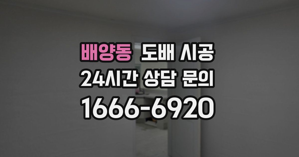 배양동 도배 시공