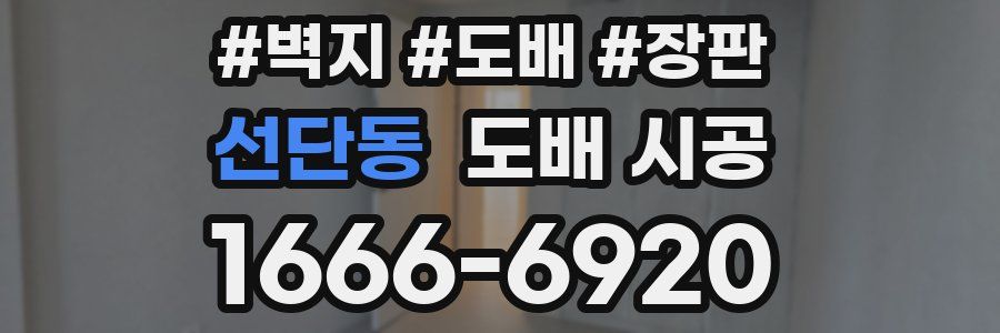 선단동 도배 시공