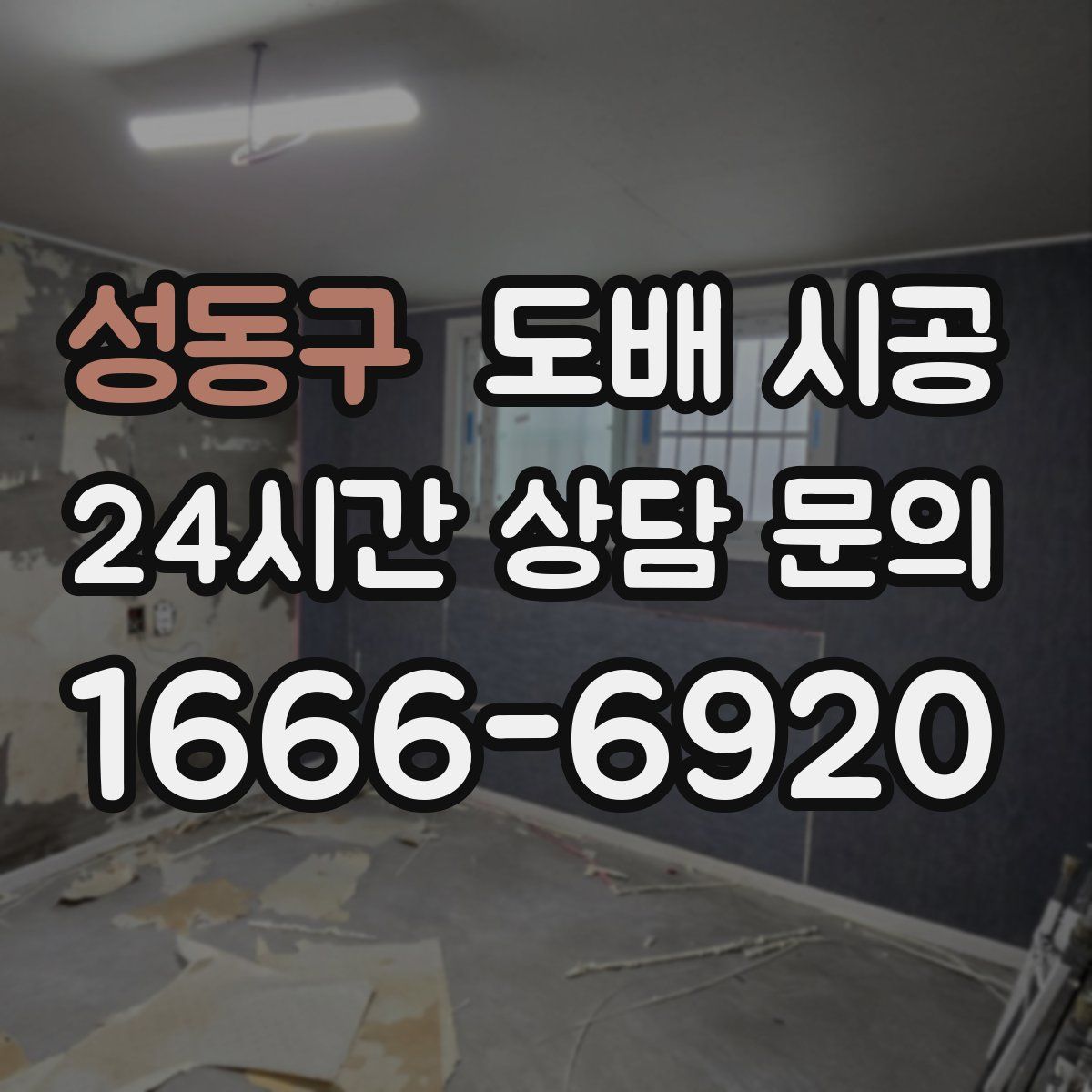 성동구 도배 시공