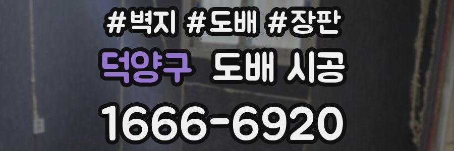 덕양구 도배 시공