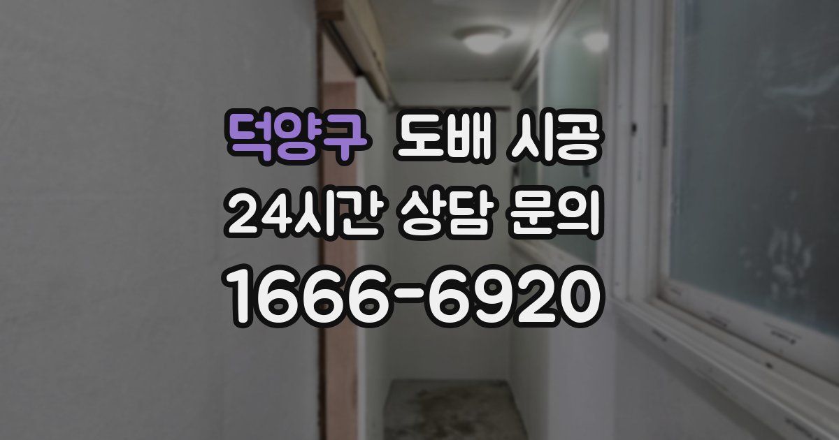 덕양구 도배 시공