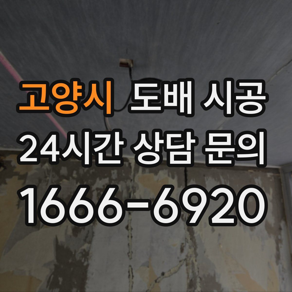 고양시 도배 시공